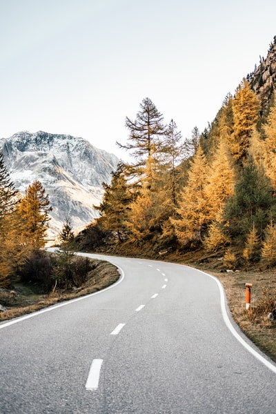 白天山林附近蜿蜒的道路